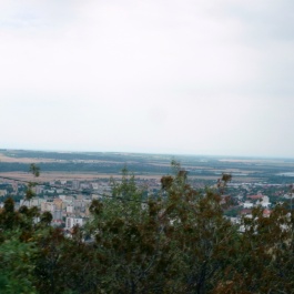 Cabriobusz