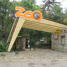Cabriobusz